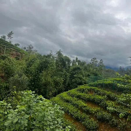 Doctor G House * Nuwara Eliya