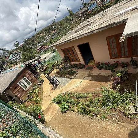 The Shinya * Nuwara Eliya