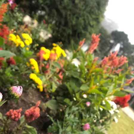 Elysian Hills Heritage In Guest house Nuwara Eliya