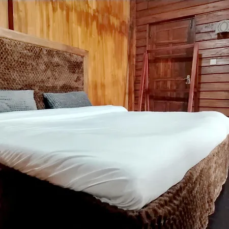 Shiny Cot - Nuwaraeliya Guest house