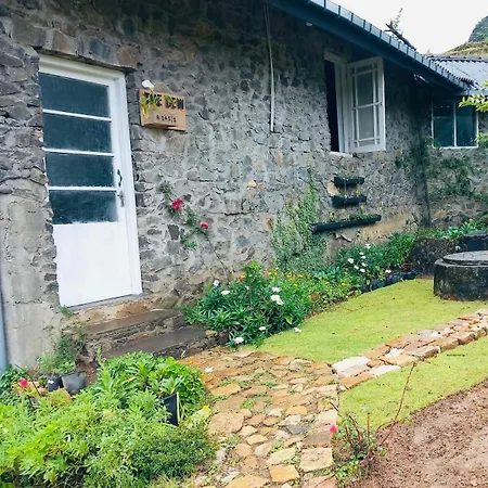 Summer - The Dew Villa