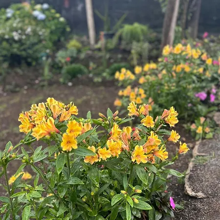 Deshani * Nuwara Eliya