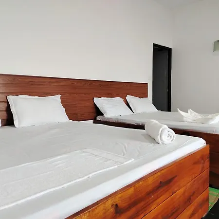 Shiny Cot - Nuwaraeliya *