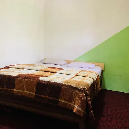 Homestay Camellia