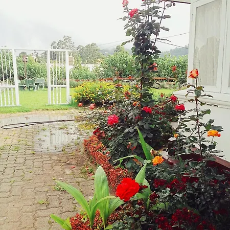 Hill Cliff Banglow * Nuwara Eliya