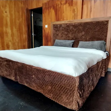 Shiny Cot - Nuwaraeliya * Nuwara Eliya
