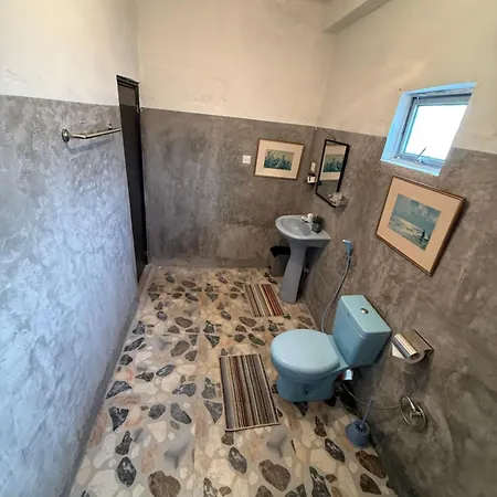 Guest house The Shinya *