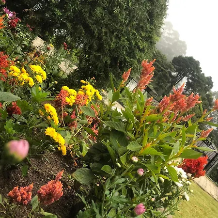 Elysian Hills Heritage In Guest house 4*