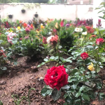 Elysian Hills Heritage In Guest house Nuwara Eliya