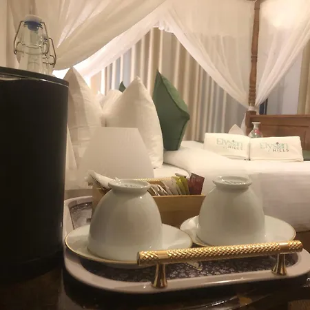 Guest house Elysian Hills Heritage In 4*