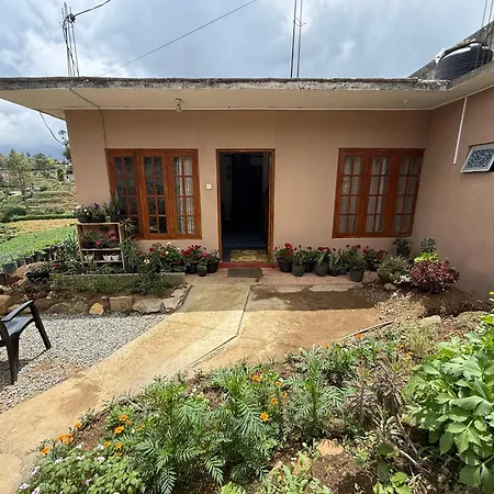 The Shinya Guest house *