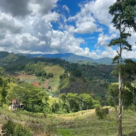 Eden Heaven *