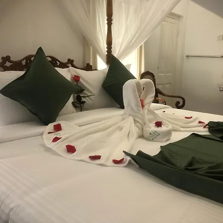 Elysian Hills Heritage In 4* Nuwara Eliya