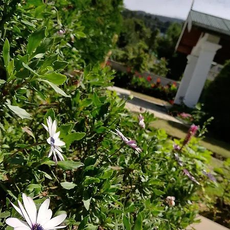 Elysian Hills Heritage In Guest house