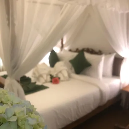 Guest house Elysian Hills Heritage In