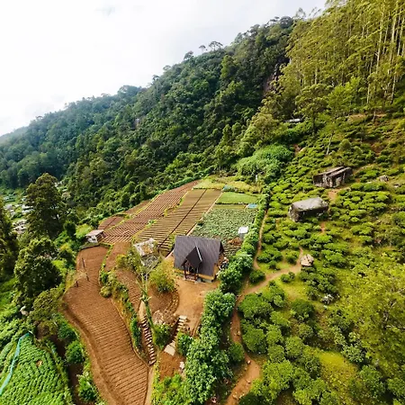 Villa The Tranquil Of Loversleap Nuwara Eliya