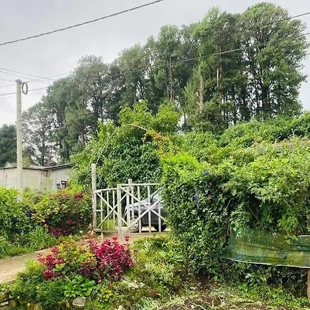 Omi * Nuwara Eliya