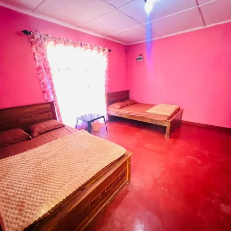 Apartment Omi