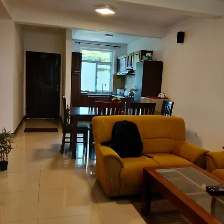 Night Luxury Apartment
