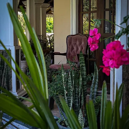 Royal Wattles Boutique Homestay