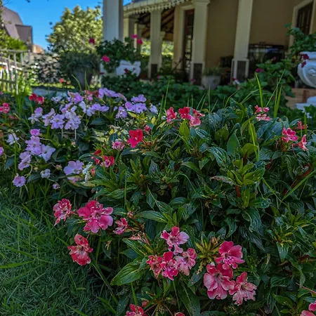 Royal Wattles Boutique Homestay *