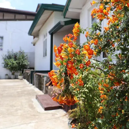 Zion White House 3* Nuwara Eliya