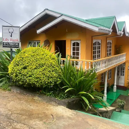 Guest house Lily Bank