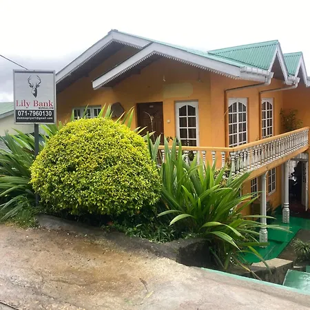 Guest house Lily Bank *