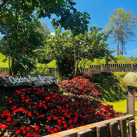 Doctor G House Villa Nuwara Eliya