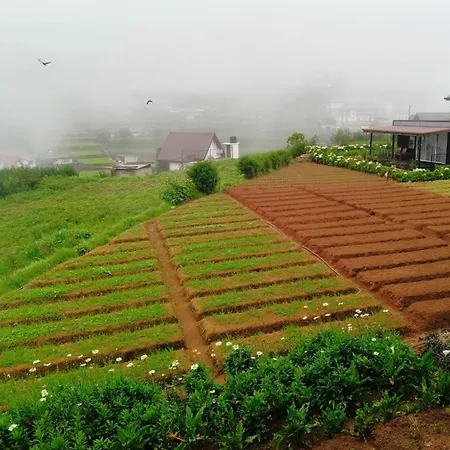 The Cozy Hotel Nuwara Eliya