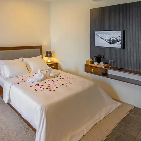 Liyons Hotel