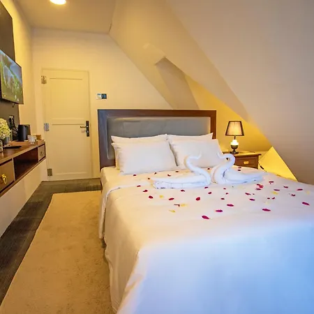 Hotel Liyons *