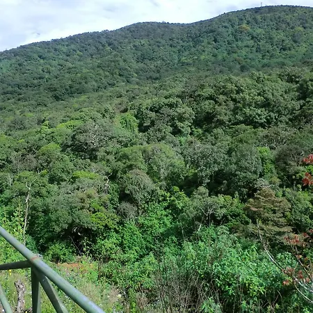 The Forest Bungalow Holiday home Nuwara Eliya