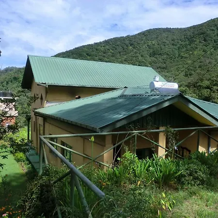 Holiday home The Forest Bungalow *