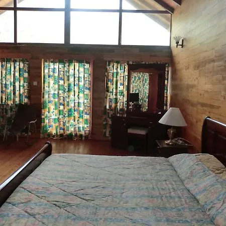 The Forest Bungalow
