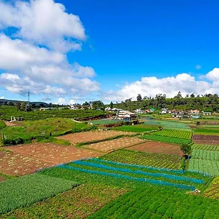 Stoney Croft 5* Nuwara Eliya