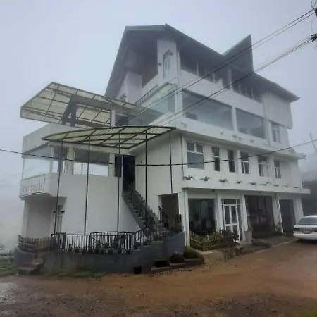 Tea Mount Forest Nuwara Eliya