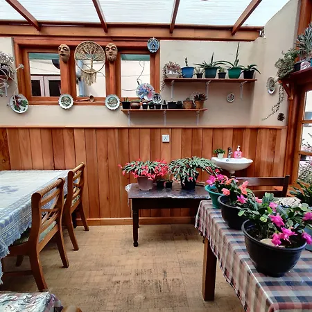 Carnation Rest Guest house 4*