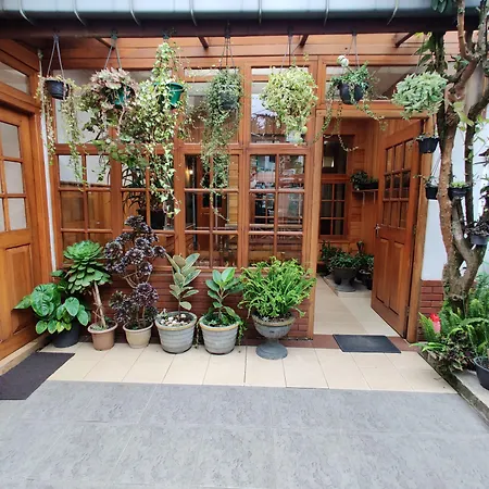 Carnation Rest Guest house Nuwara Eliya