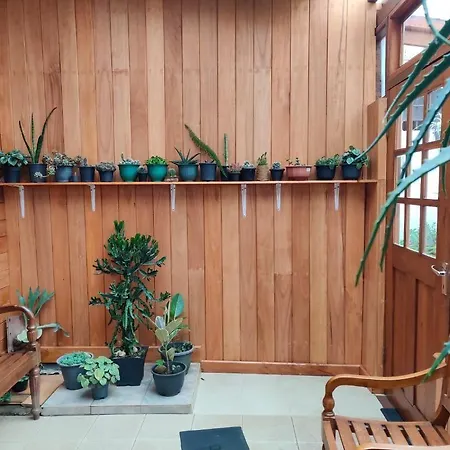 Guest house Carnation Rest 4*