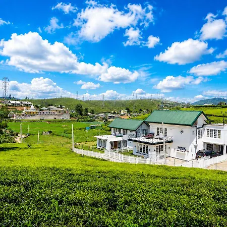 Tea Fields - Free Breakfast, Just 4km From City, Near Gregory