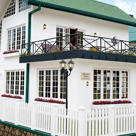 Tea Fields - Free Breakfast, Just 4km From City, Near Gregory