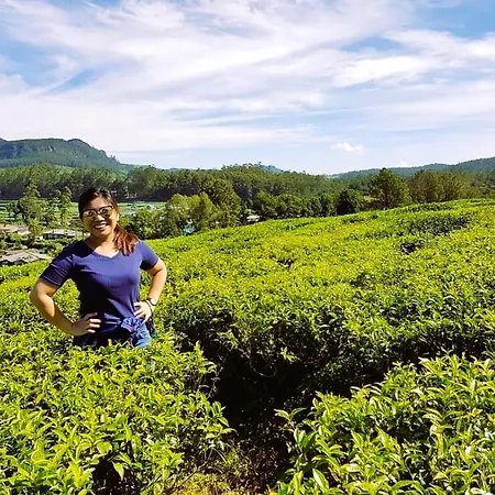 Tea Fields - Free Breakfast, Just 4km From City, Near Gregory * Nuwara Eliya