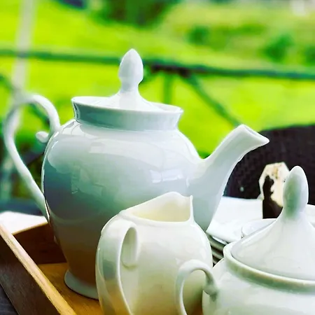 Tea Fields - Free Breakfast, Just 4km From City, Near Gregory *