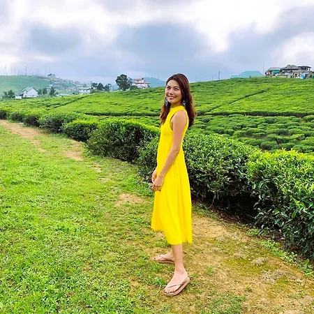 Tea Fields - Free Breakfast, Just 4km From City, Near Gregory Villa Nuwara Eliya