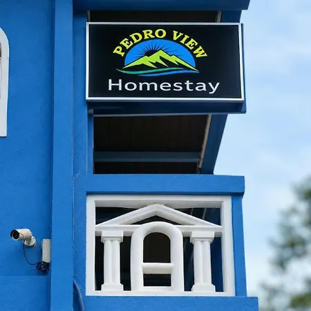 Pedro View Homestay *