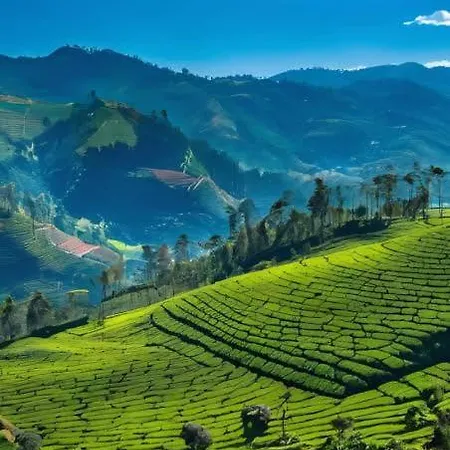 The Breeze Luxury Nuwara Eliya