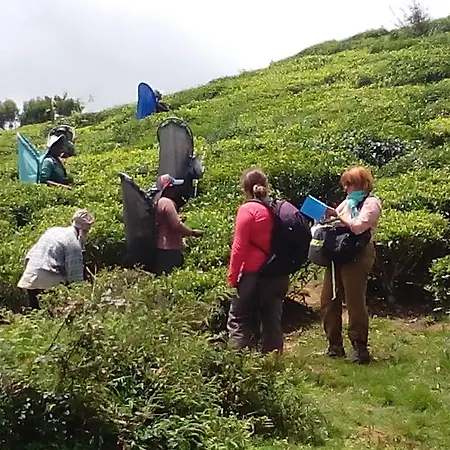 View Nuwara Eliya