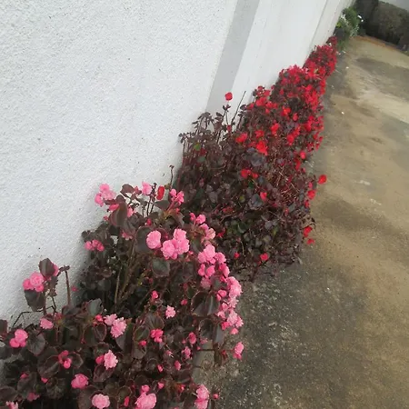 V&v Holiday Bungalow Guest house *