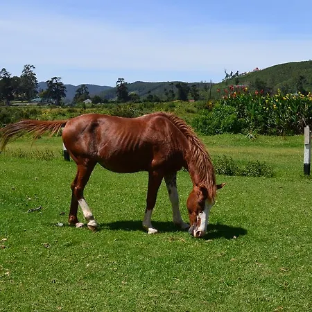 Thuring's * Nuwara Eliya